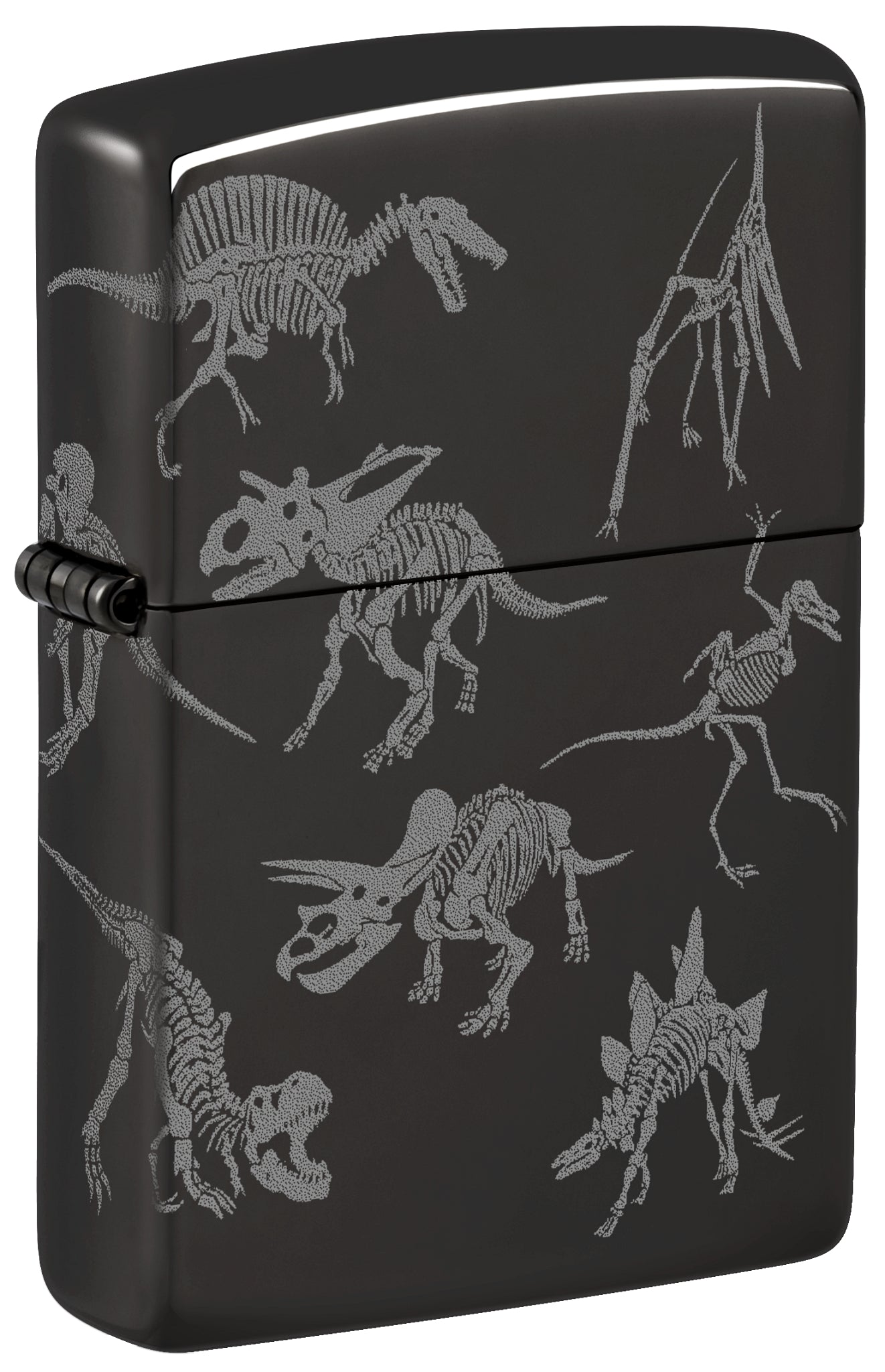 24756 Dinosaur Skeletons Design