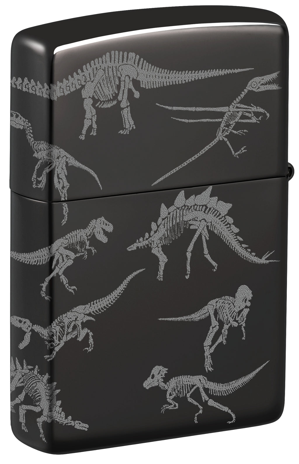 24756 Dinosaur Skeletons Design