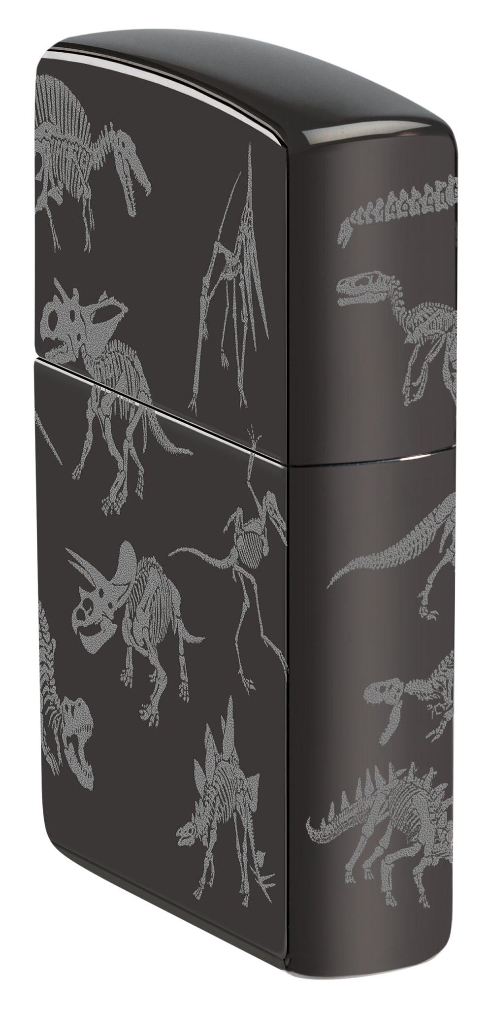 24756 Dinosaur Skeletons Design