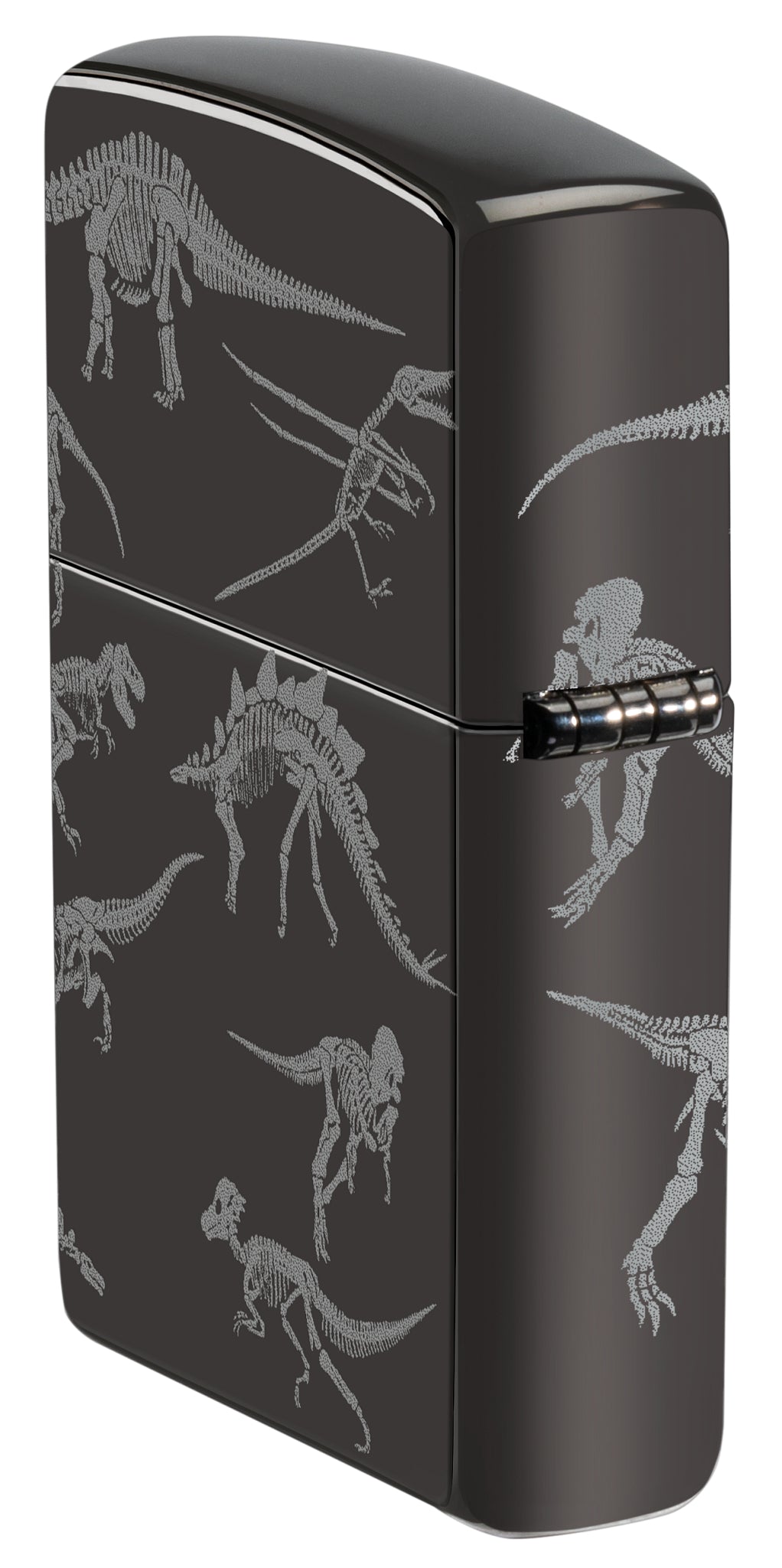 24756 Dinosaur Skeletons Design