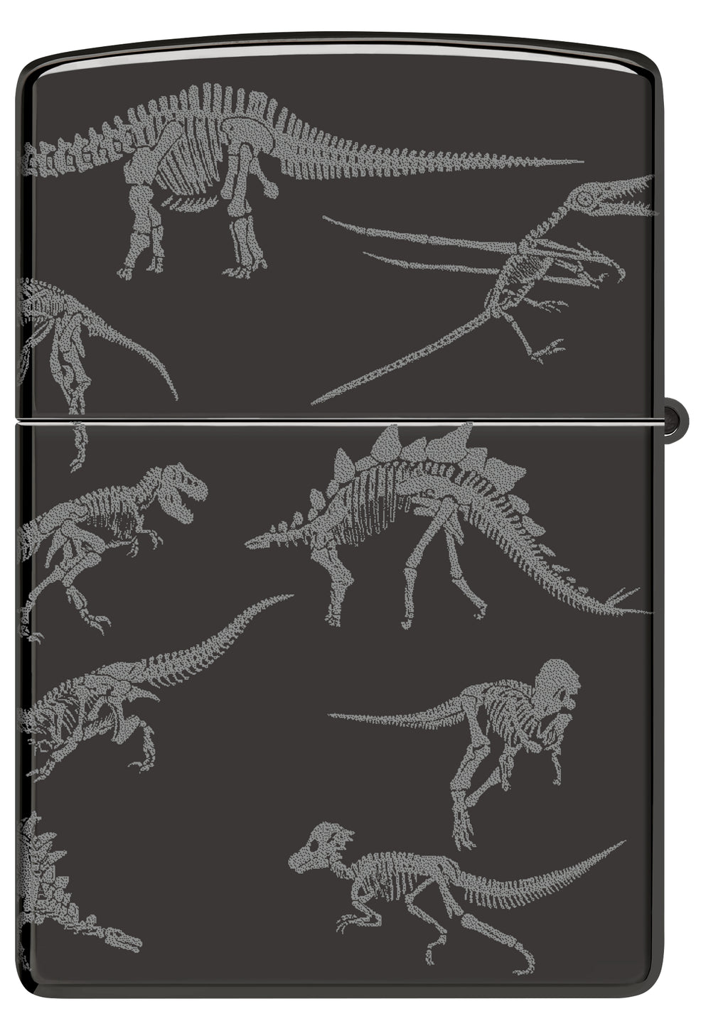24756 Dinosaur Skeletons Design