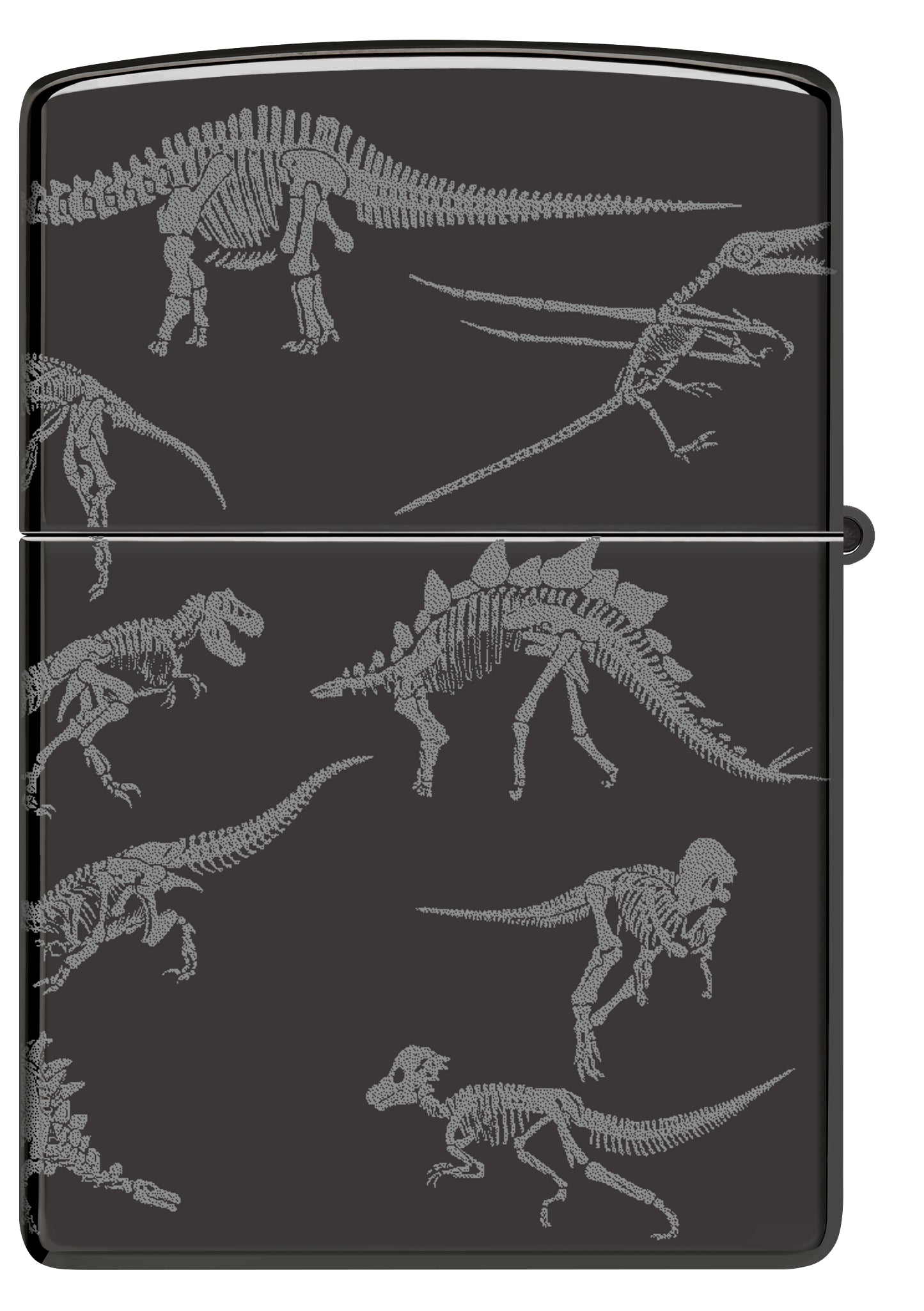 24756 Dinosaur Skeletons Design
