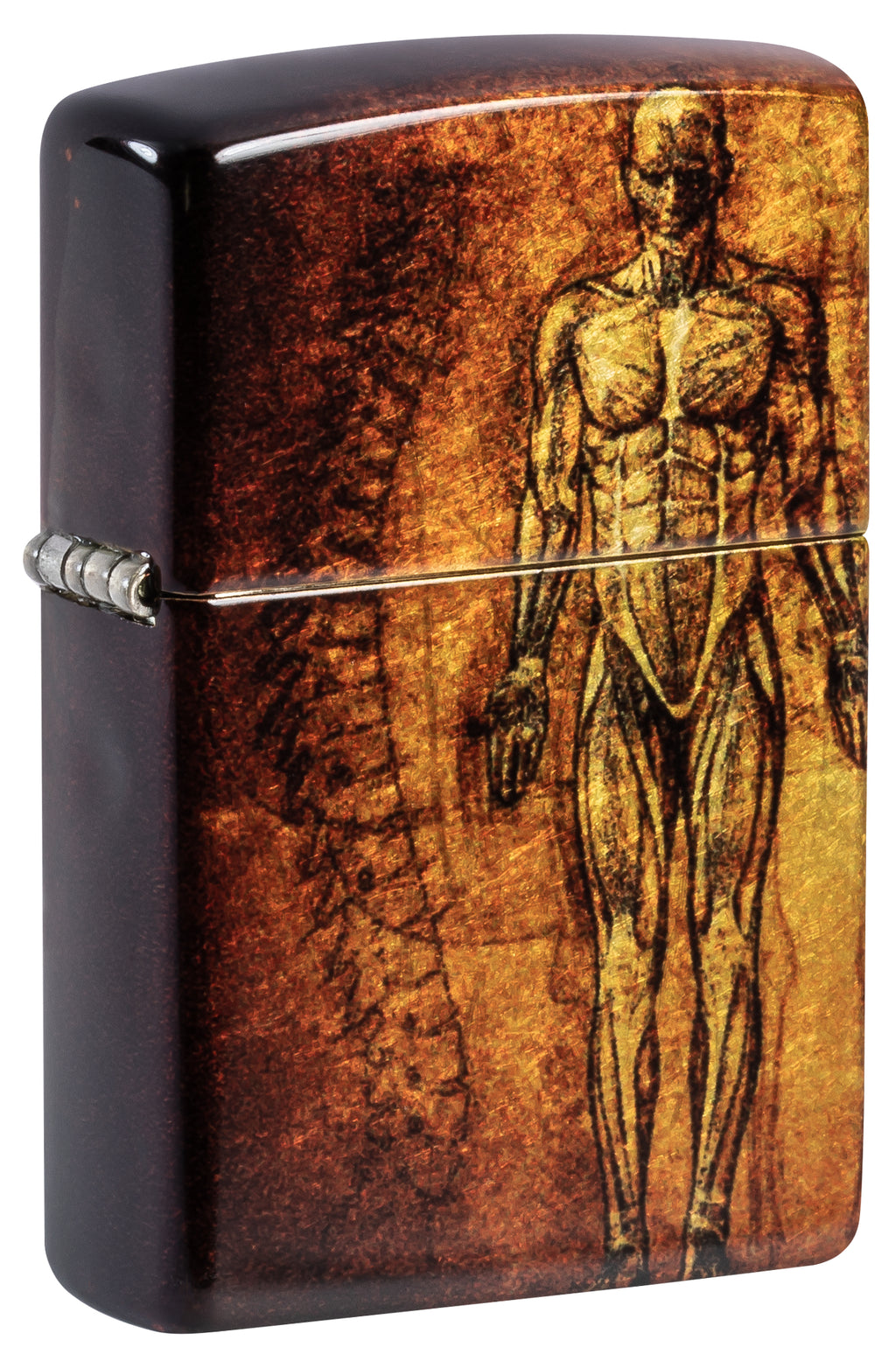 48458 Anatomy Design