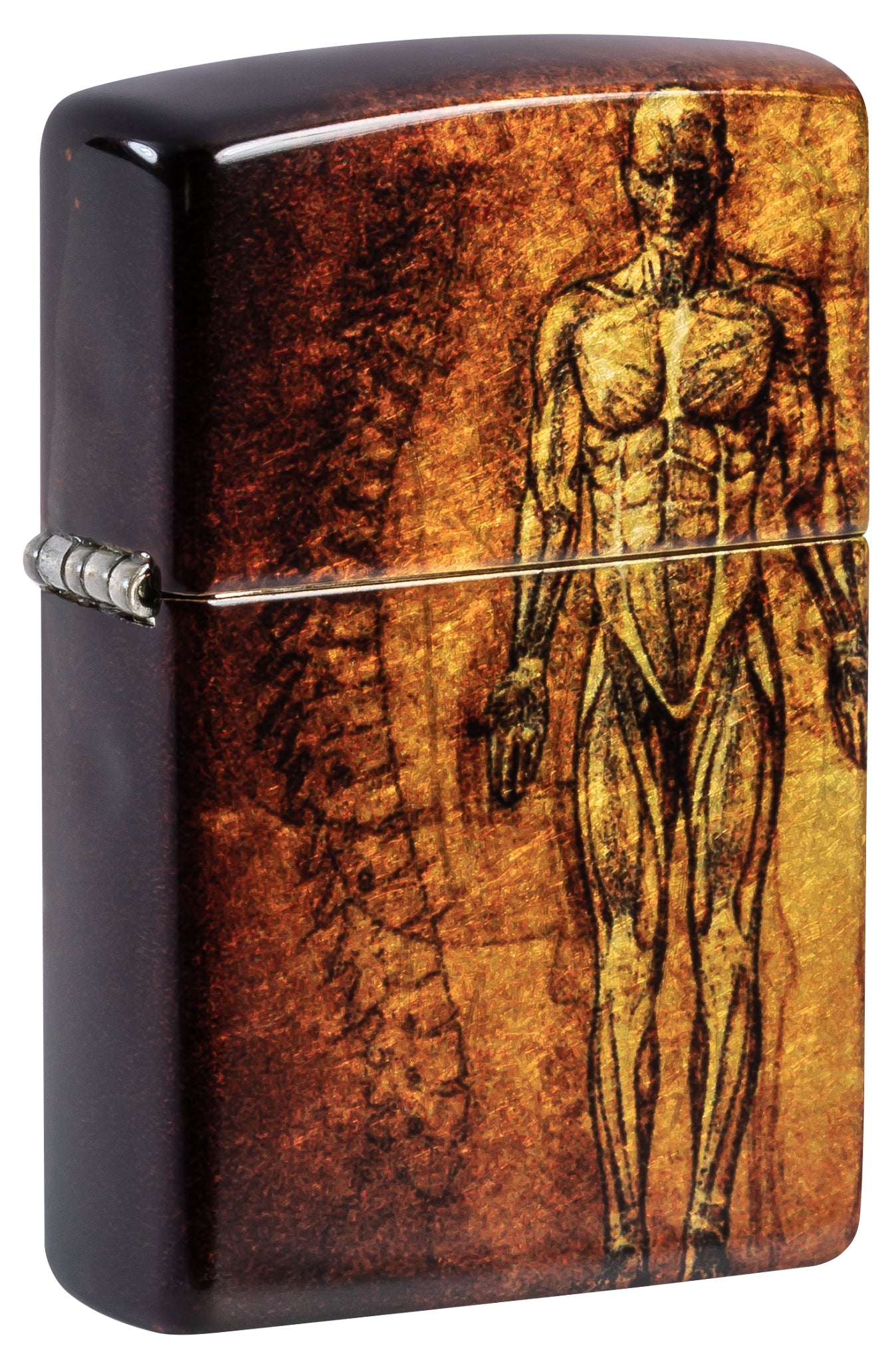 48458 Anatomy Design