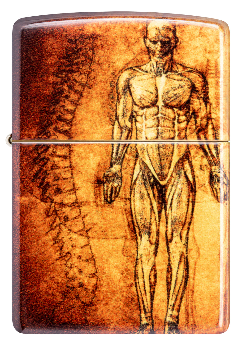 48458 Anatomy Design