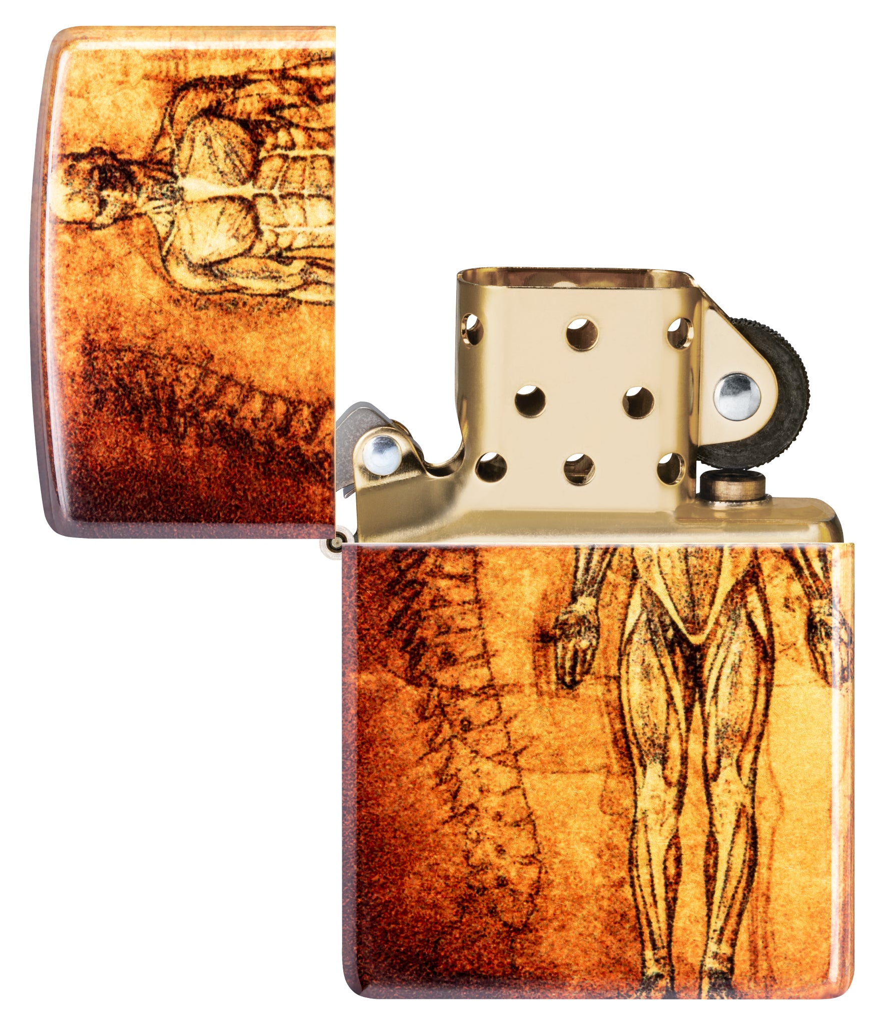 48458 Anatomy Design