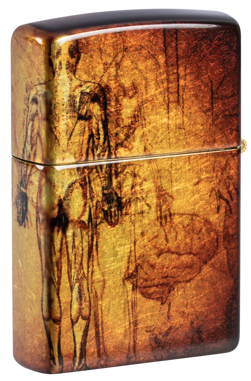 48458 Anatomy Design