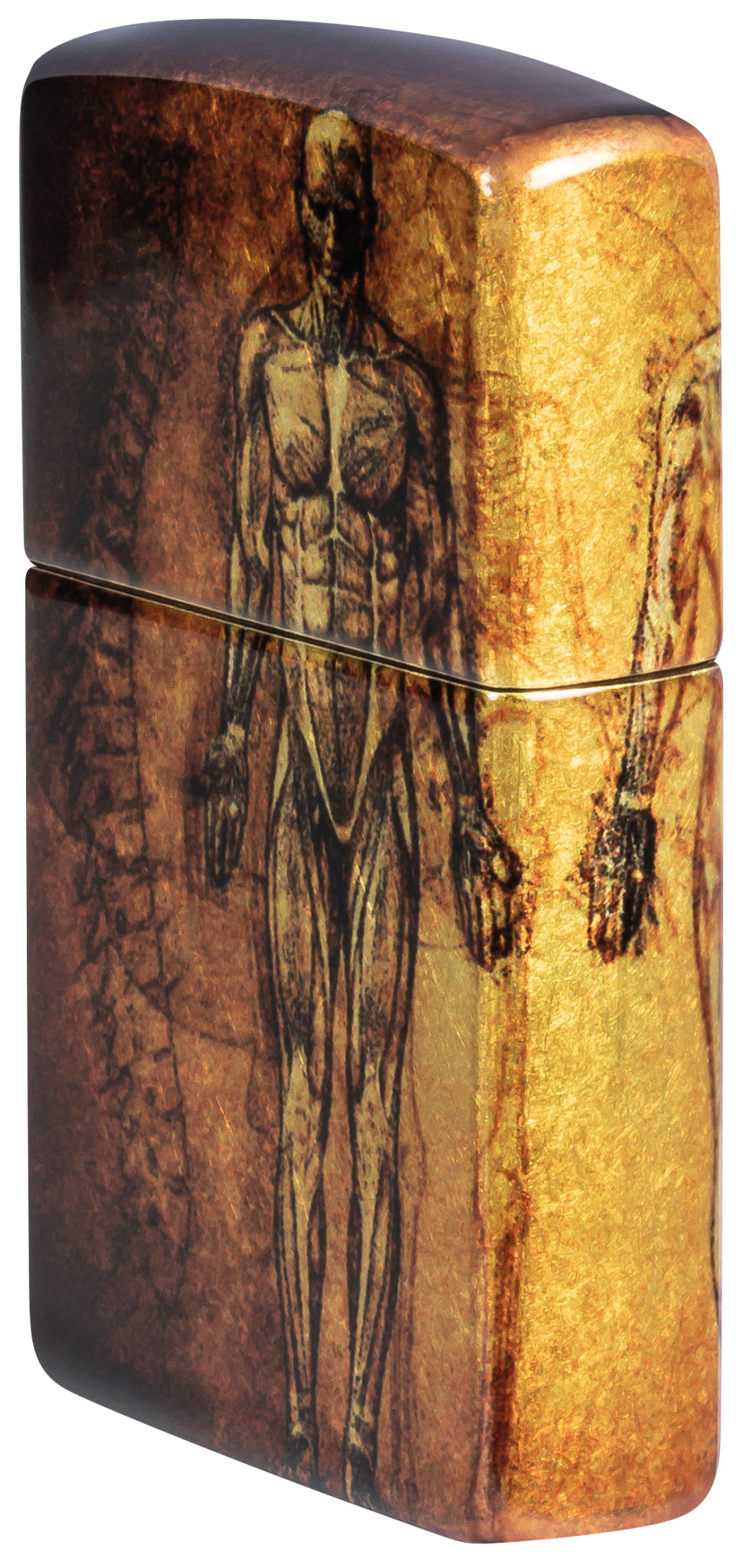 48458 Anatomy Design