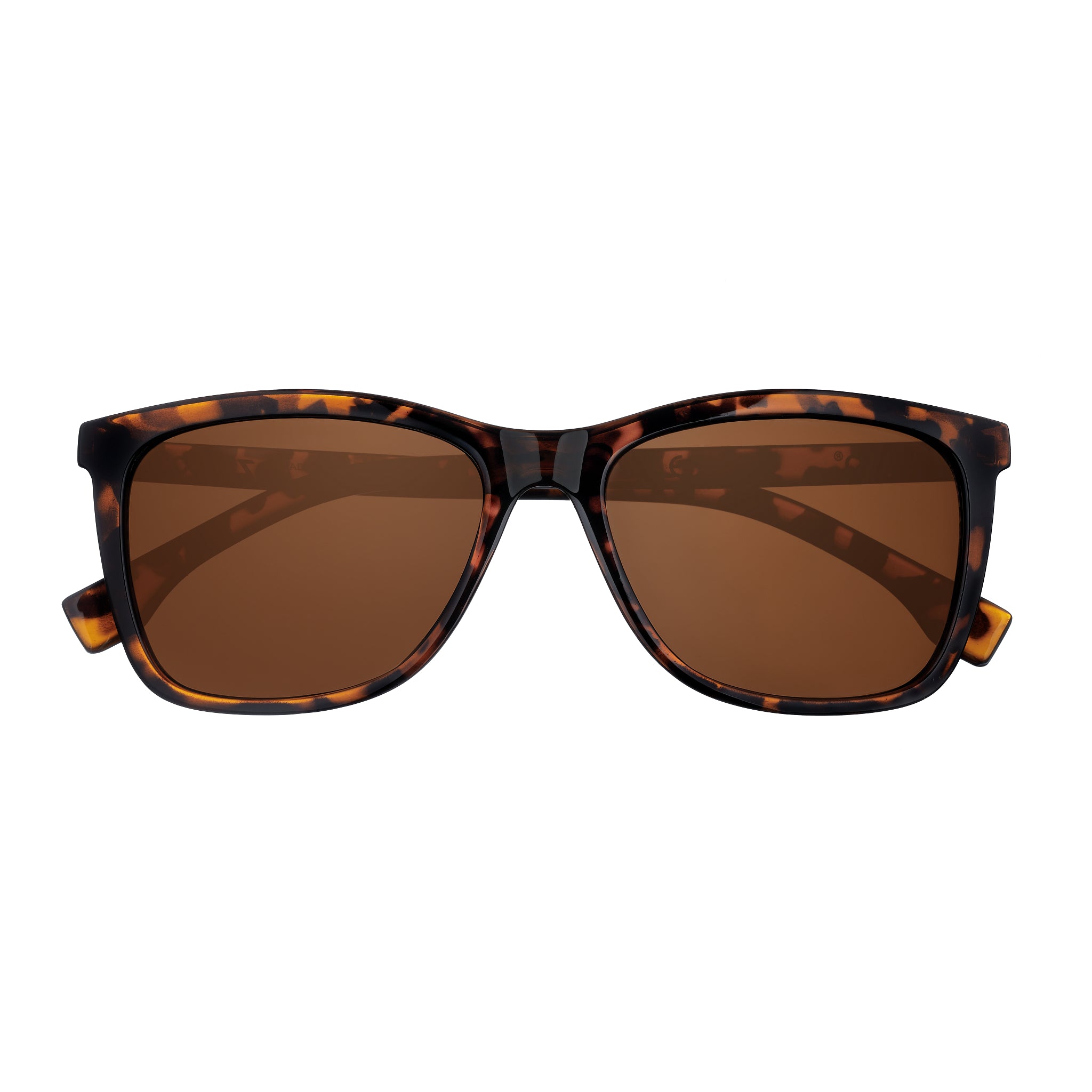 Sunglasses OB223-4