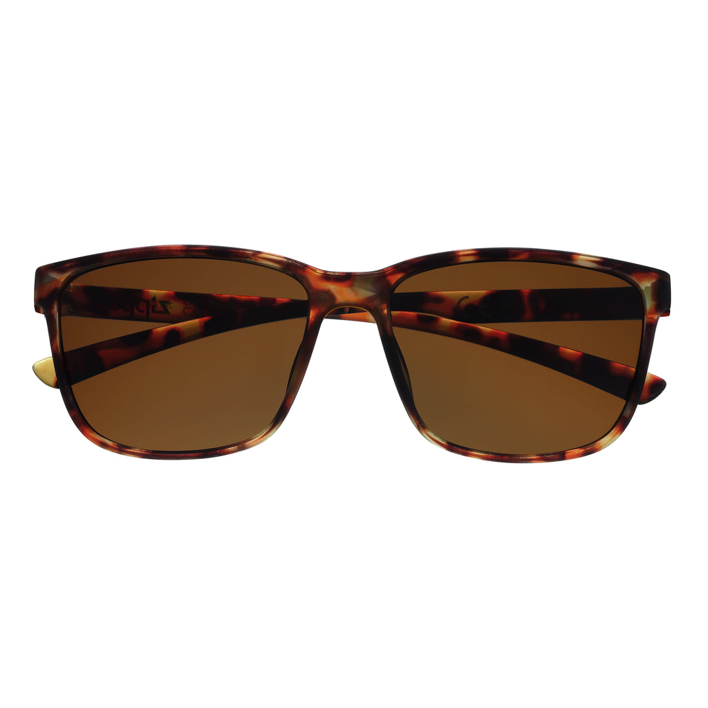 Sunglasses Polarized ZIPPO OB224-22