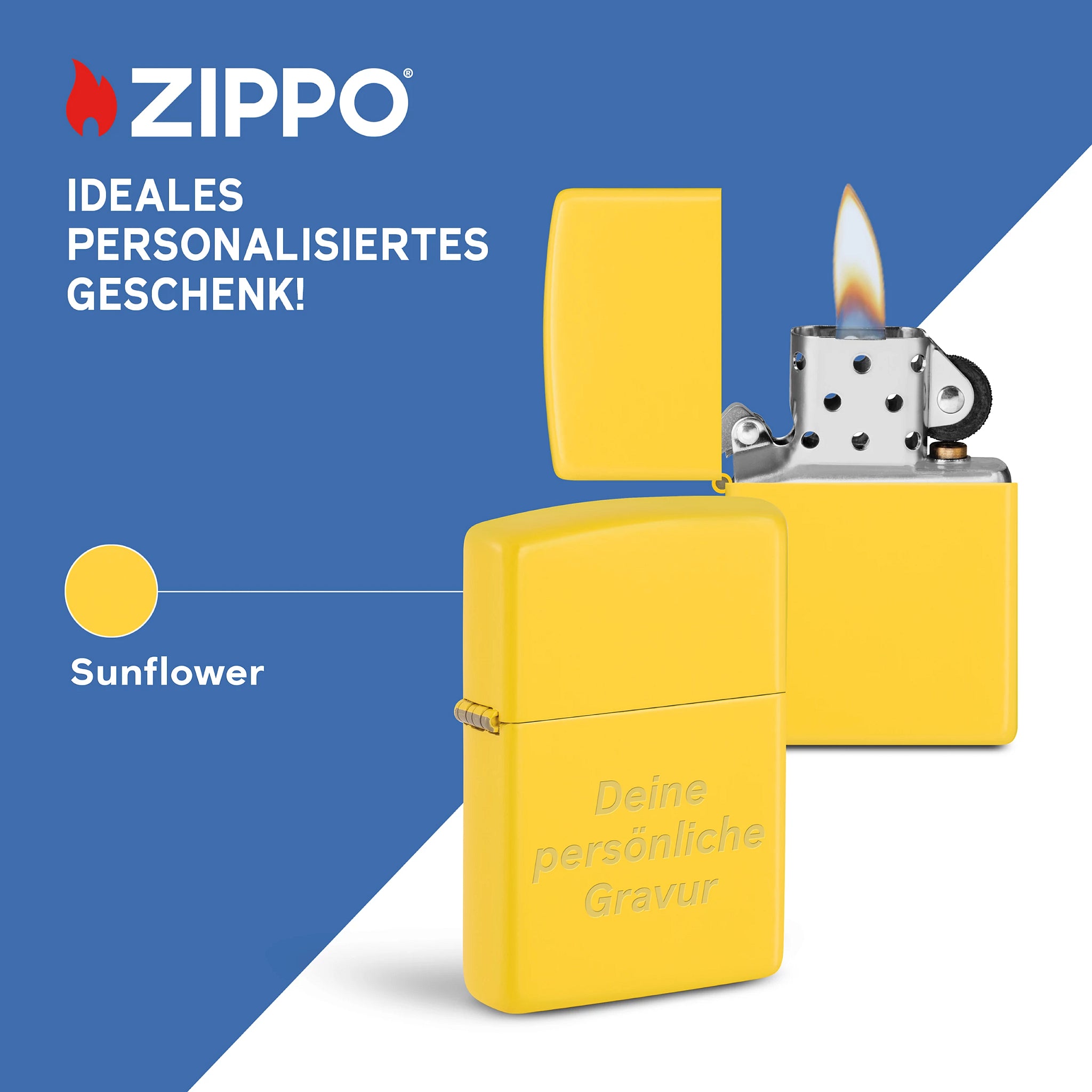 46019 Sunflower